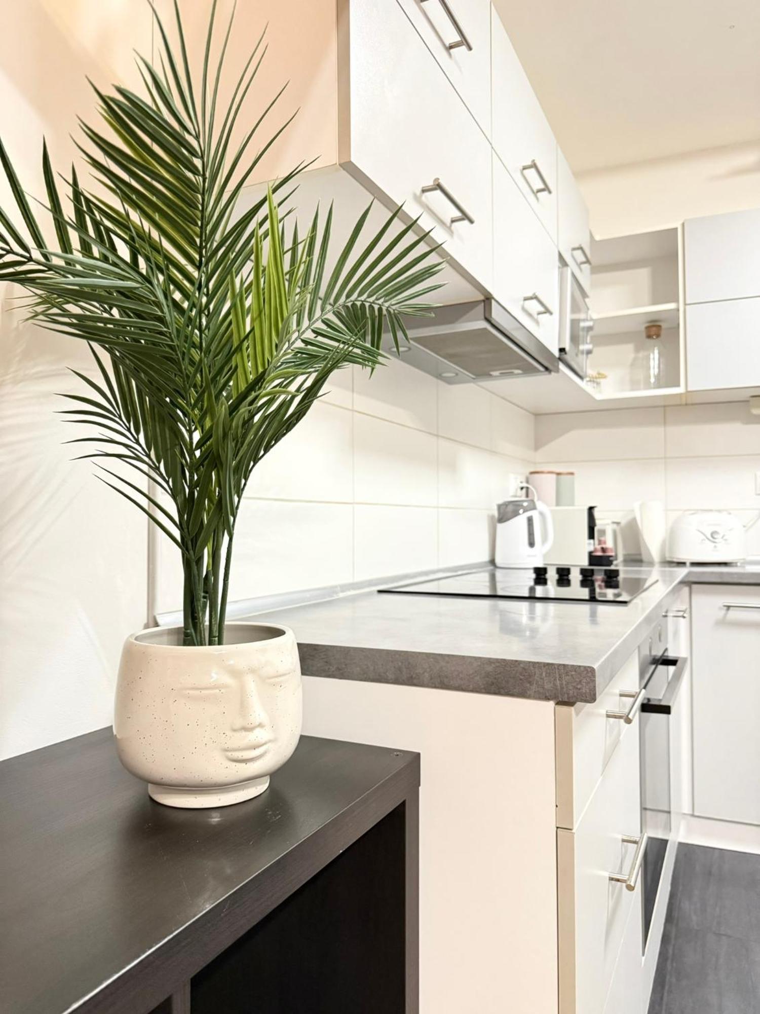 Apartmán Gellert Spacious